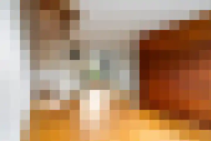 Karel Doormanlaan 38 Papendrecht thumbnail 9