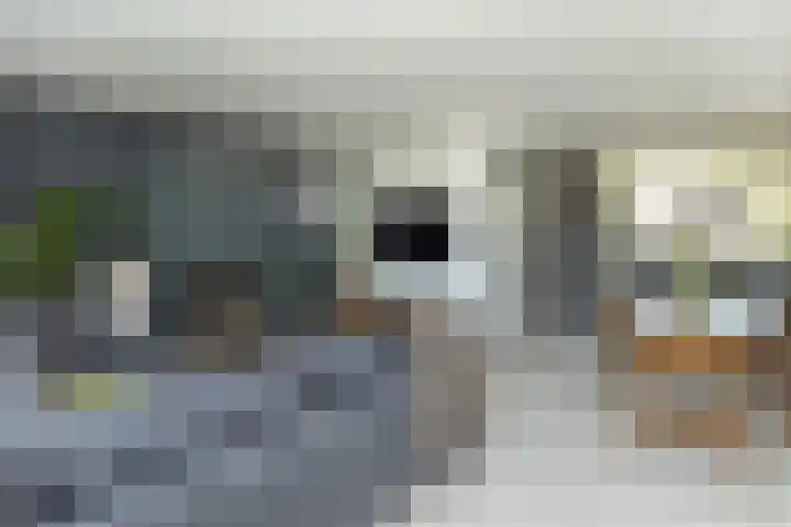 Karel Doormanlaan 42 Hilversum thumbnail 6