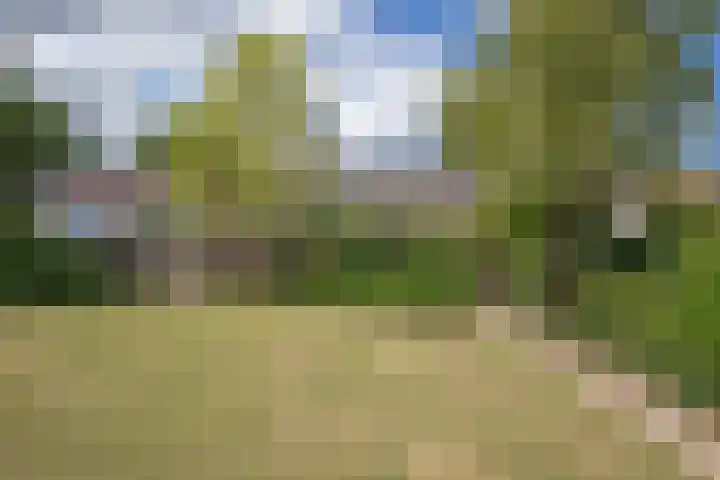 Karel Doormanlaan 42 Woudenberg thumbnail 35