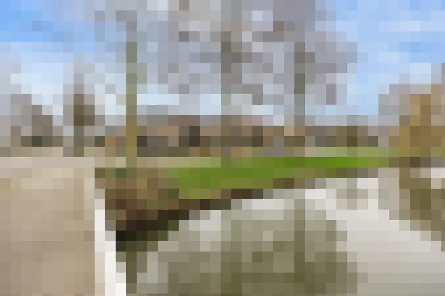 Karel Doormanlaan 44 Woudenberg thumbnail 64