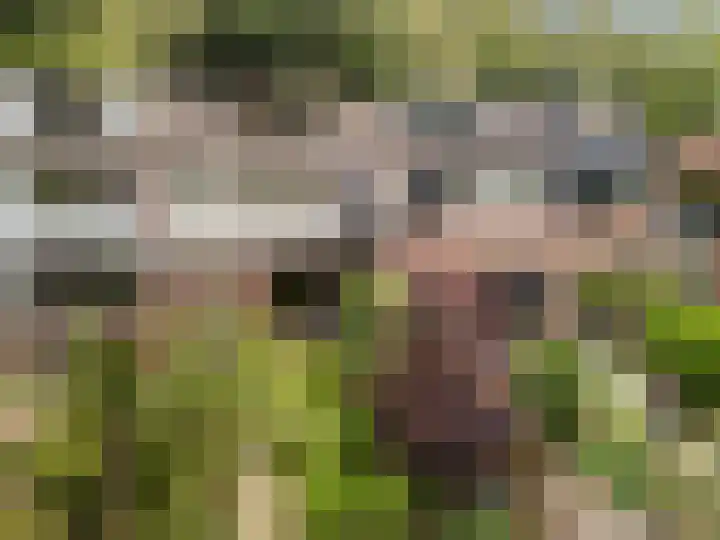 Karel Doormanlaan 5 Doorn thumbnail 27