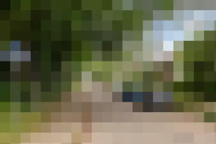 Karel Doormanlaan 5 Doorn thumbnail 30