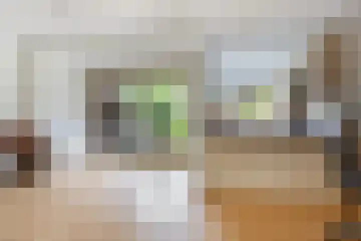 Karel Doormanlaan 5 Doorn thumbnail 8