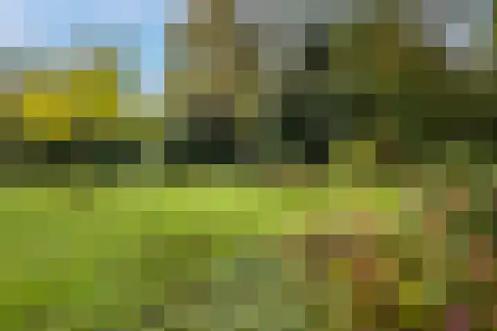 Karel Doormanlaan 52 Utrecht thumbnail 29