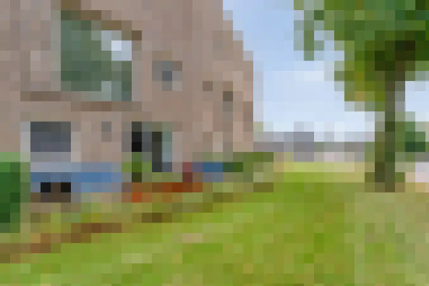 Karel Doormanlaan 53 Hardenberg thumbnail 17