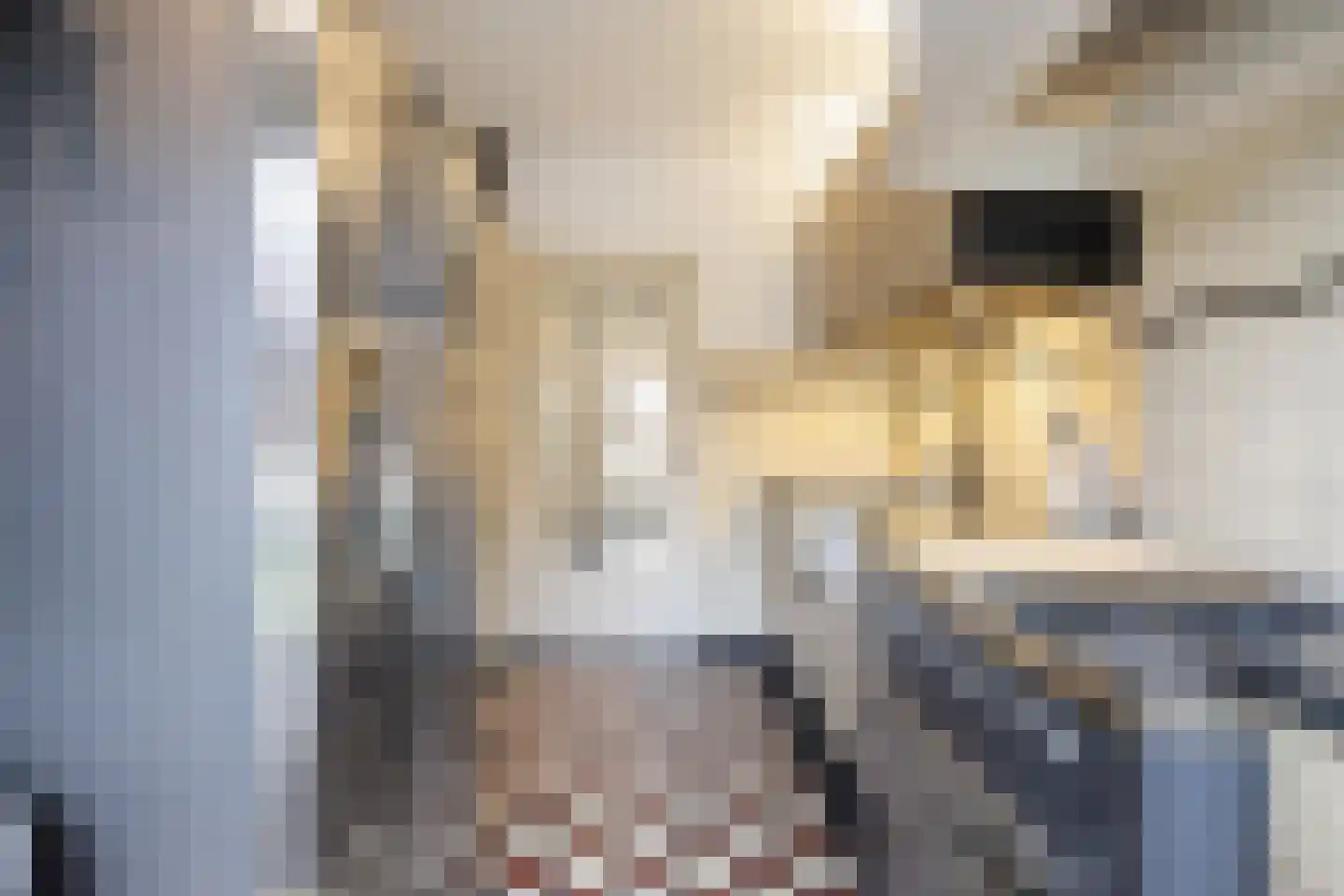 Karel Doormanlaan 57 Tilburg thumbnail 14