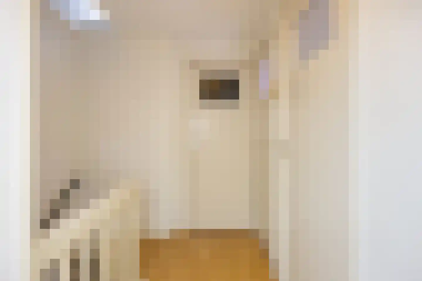 Karel Doormanlaan 57 Tilburg thumbnail 31
