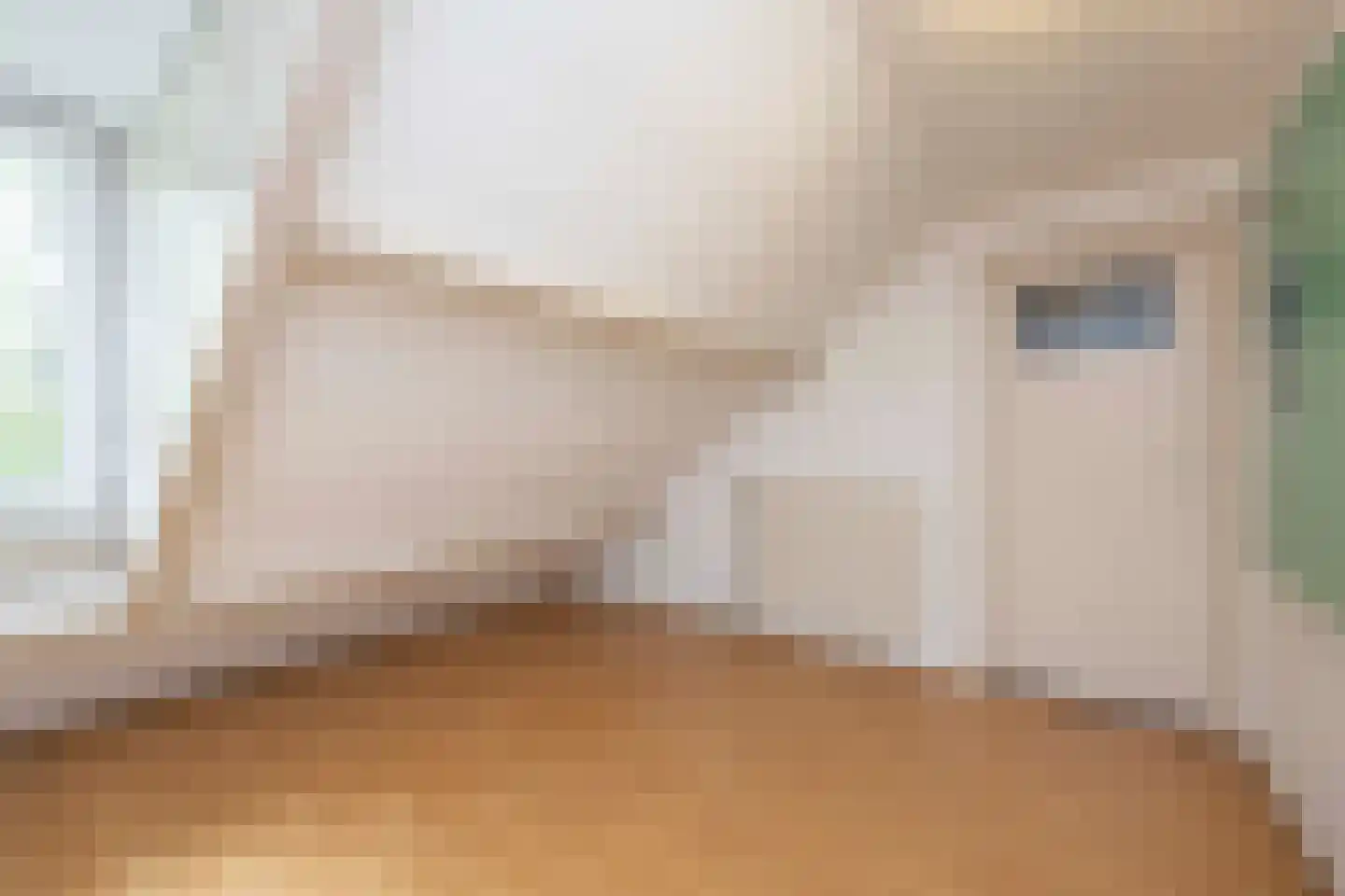 Karel Doormanlaan 57 Tilburg thumbnail 34