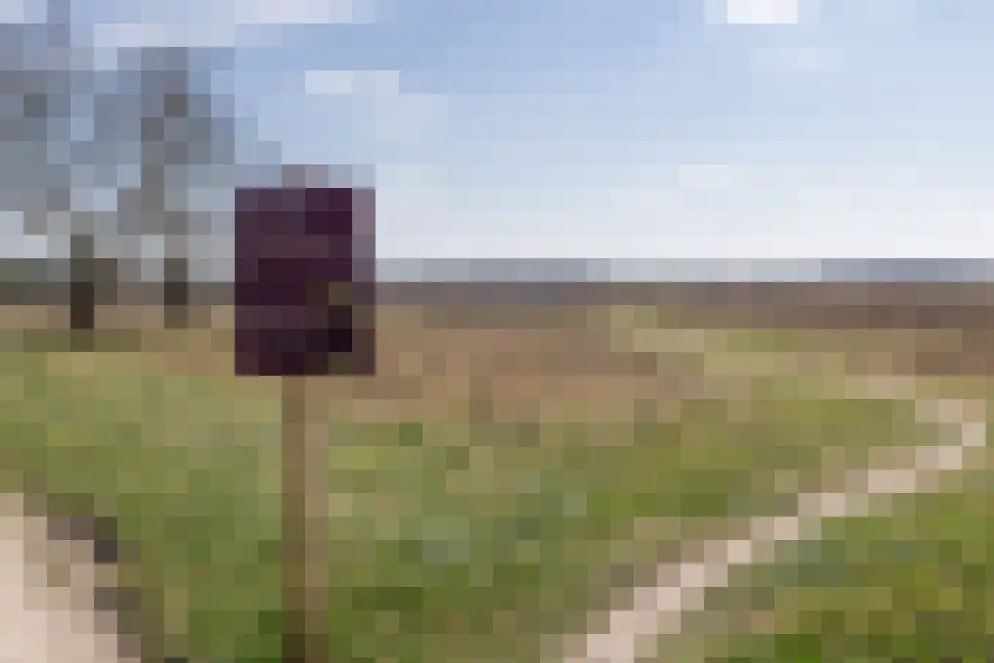 Karel Doormanlaan 62 Bussum thumbnail 32
