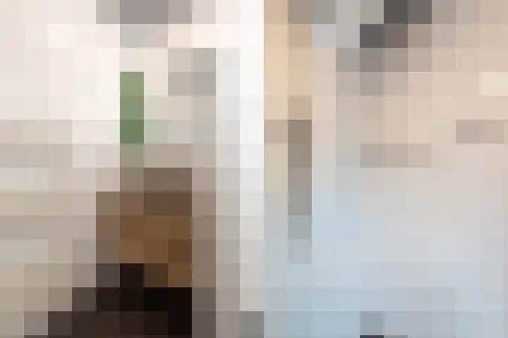 Karel Doormanlaan 62 Hilversum thumbnail 17