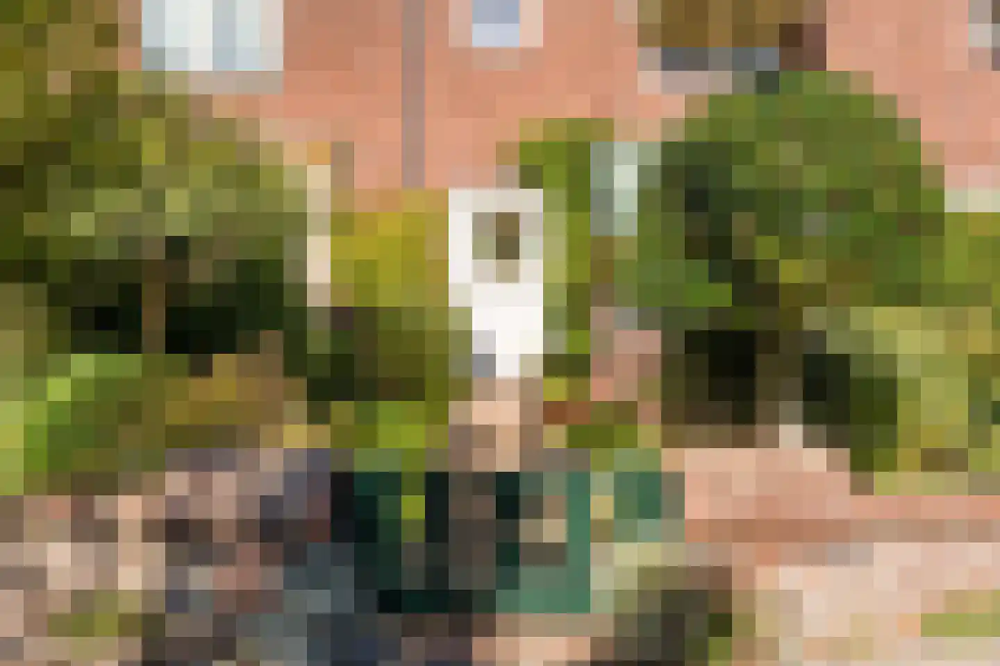 Karel Doormanlaan 7 Oegstgeest thumbnail 31