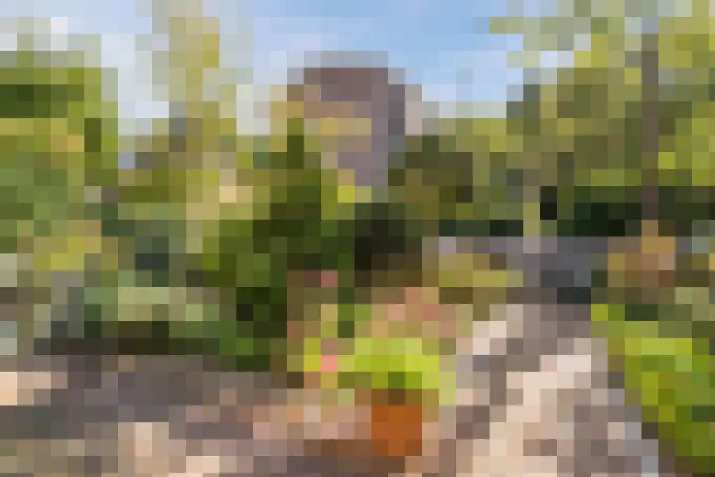 Karel Doormanlaan 7 Oegstgeest thumbnail 34