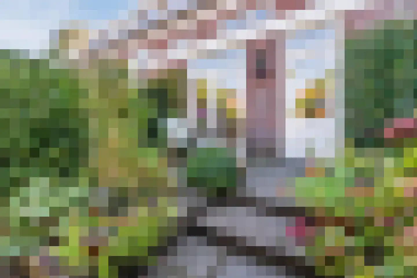 Karel Doormanlaan 7 Oegstgeest thumbnail 36