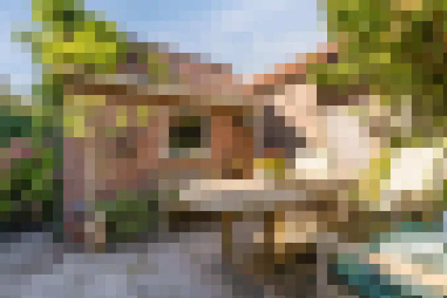 Karel Doormanlaan 7 Oegstgeest thumbnail 39