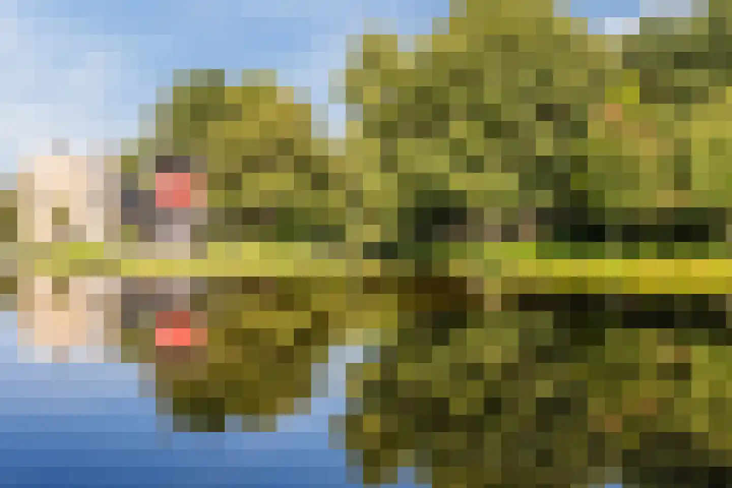 Karel Doormanlaan 7 Oegstgeest thumbnail 43