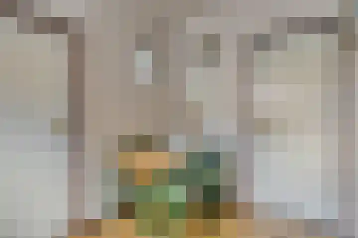 Karel Doormanlaan 74 Reuver thumbnail 16