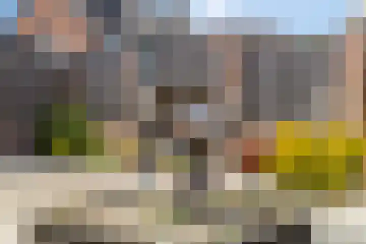 Karel Doormanlaan 74 Reuver thumbnail 36