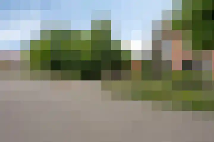 Karel Doormanlaan 74 Reuver thumbnail 4