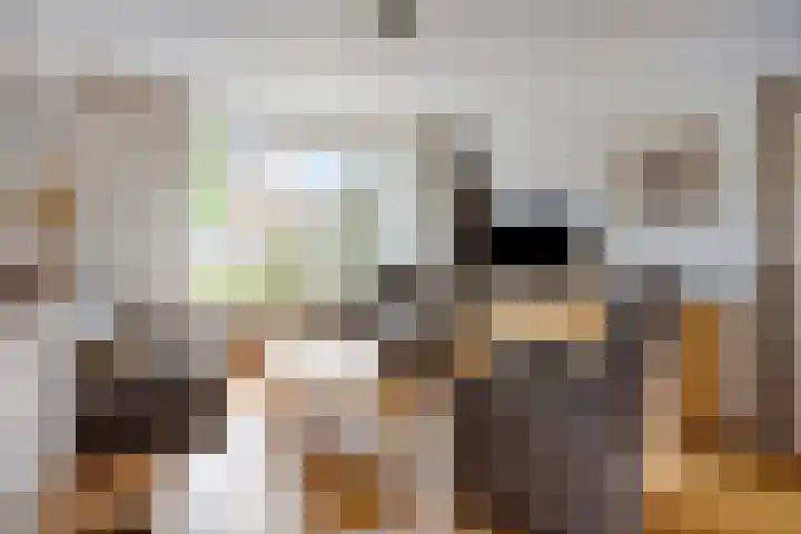 Karel Doormanlaan 74 Reuver thumbnail 8