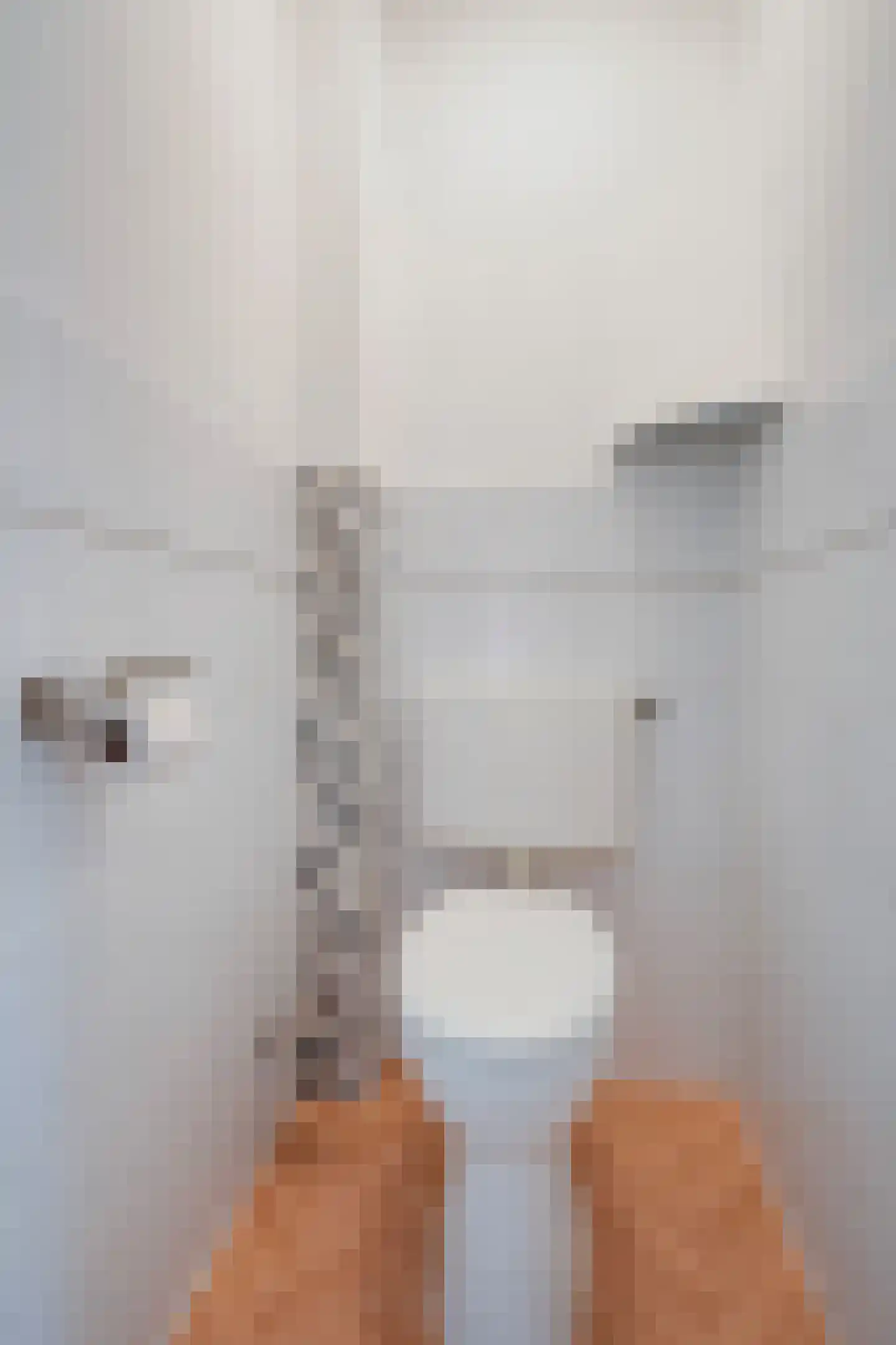 Karel Doormanlaan 74 Rijswijk thumbnail 8