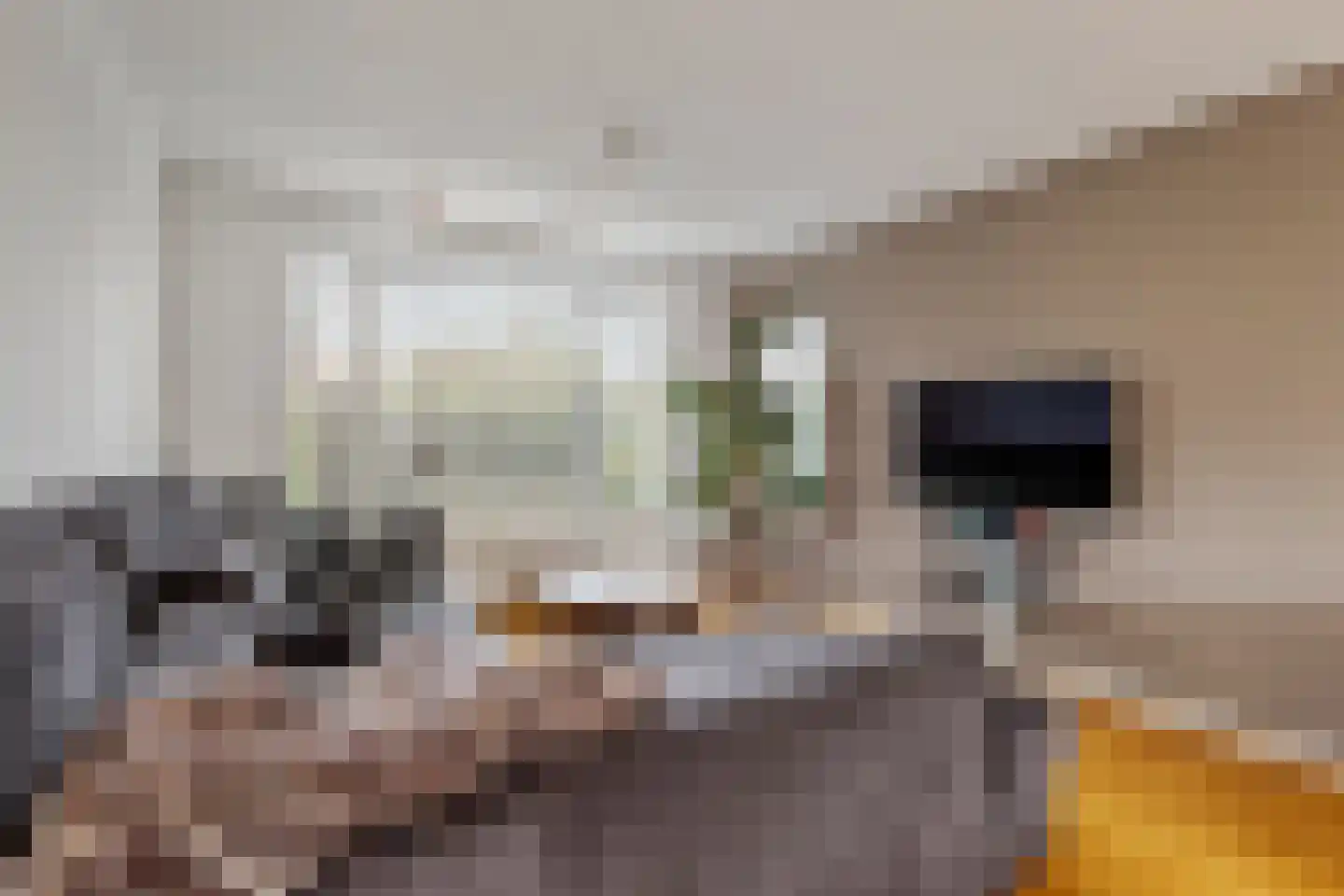 Karel Doormanlaan 77 Bussum thumbnail 4