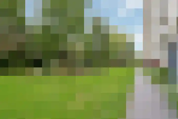 Karel Doormanlaan 78 Utrecht thumbnail 35