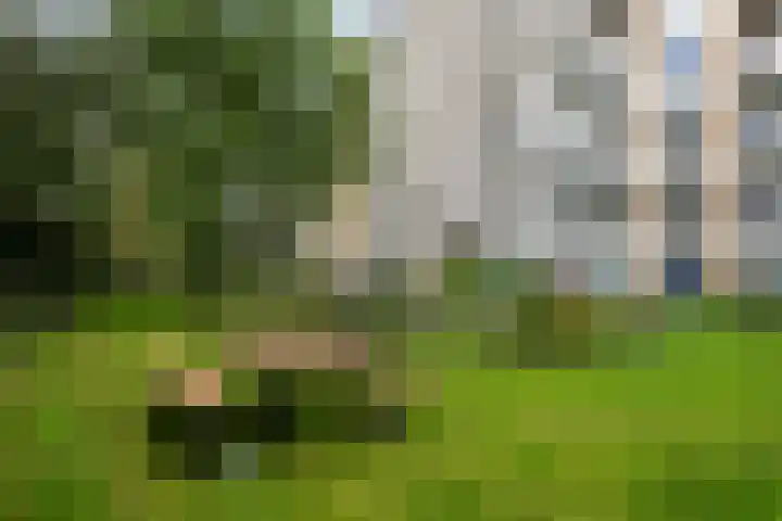 Karel Doormanlaan 78 Utrecht thumbnail 4