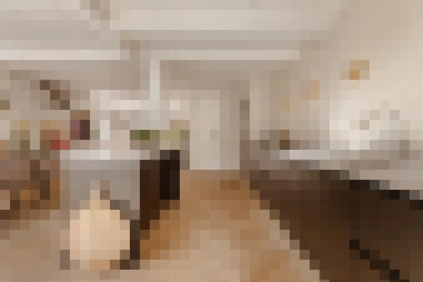 Karel Doormanlaan 8 Huizen thumbnail 12