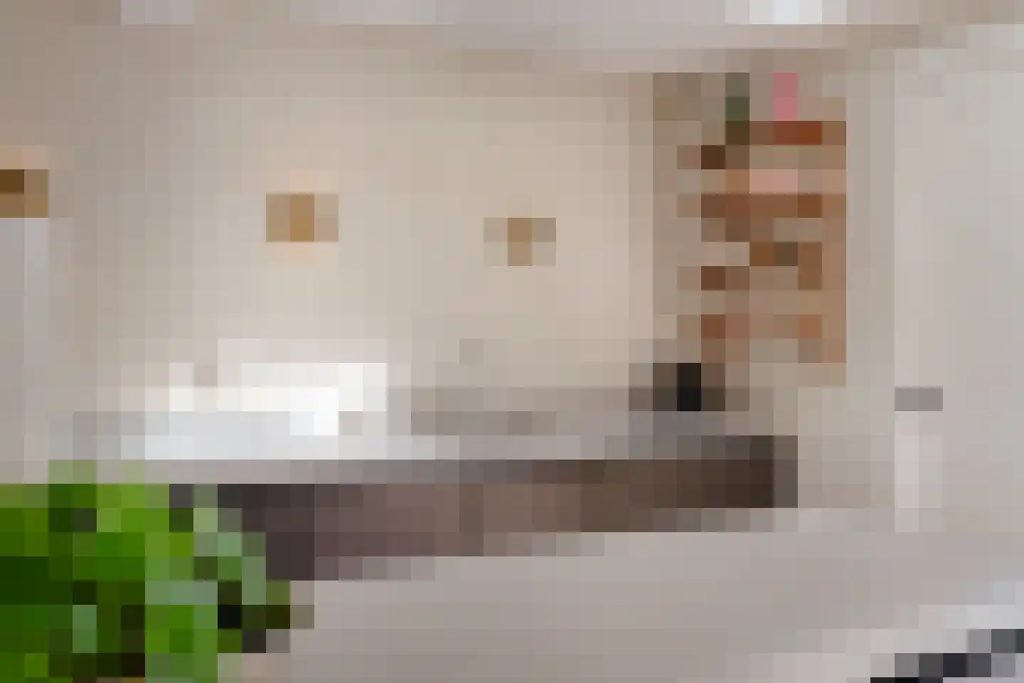 Karel Doormanlaan 8 Huizen thumbnail 13