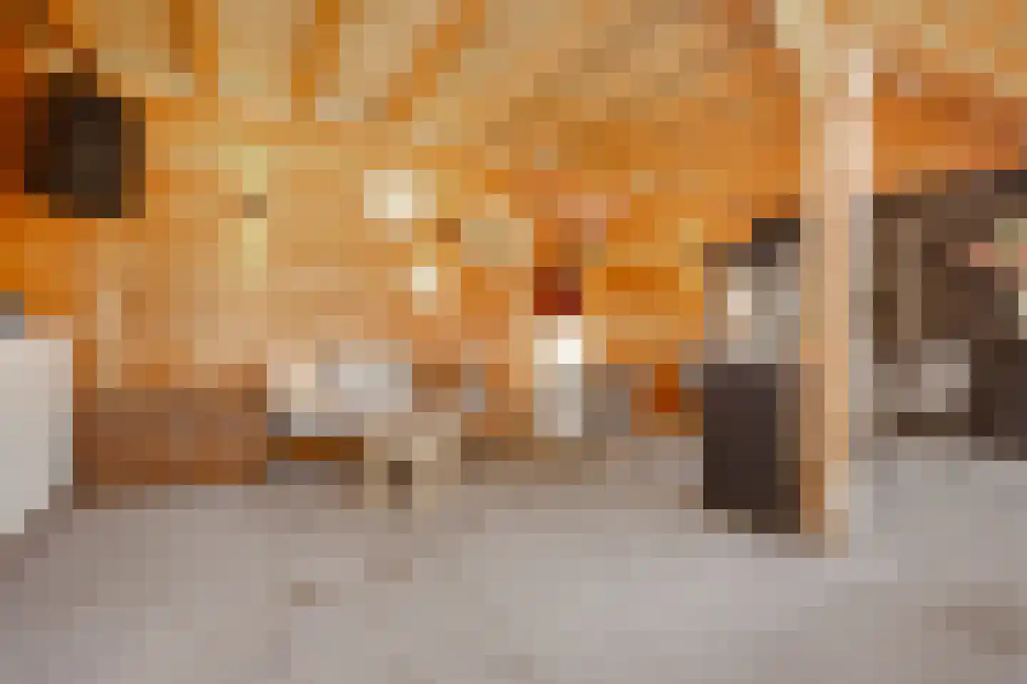 Karel Doormanlaan 8 Huizen thumbnail 24