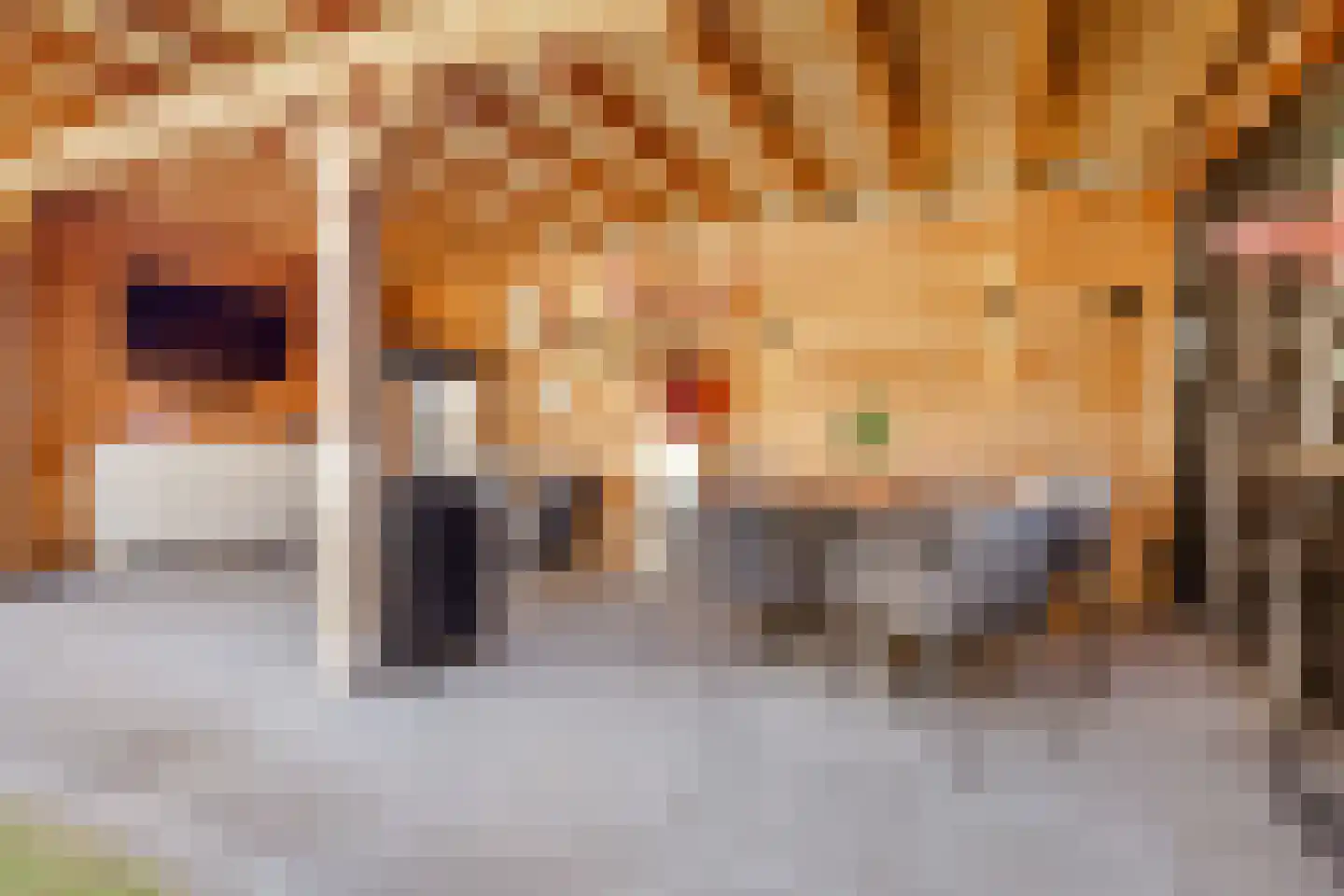 Karel Doormanlaan 8 Huizen thumbnail 25