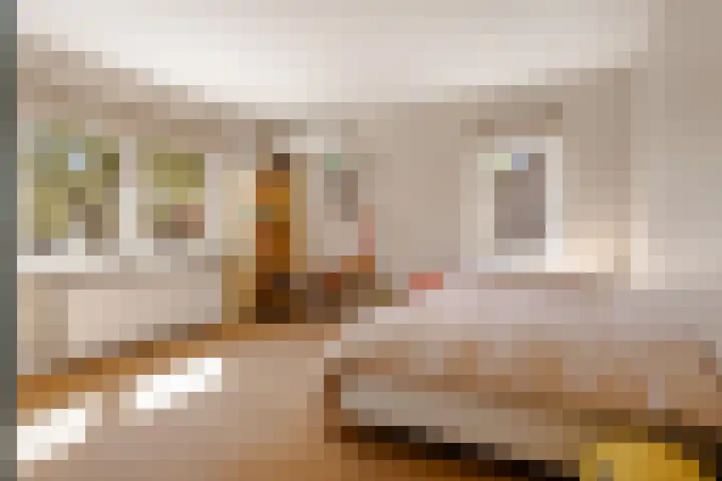 Karel Doormanlaan 8 Huizen thumbnail 28