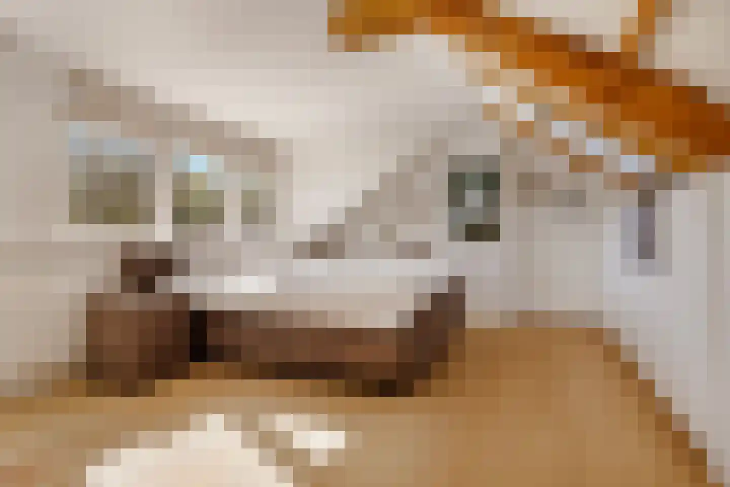 Karel Doormanlaan 8 Huizen thumbnail 35