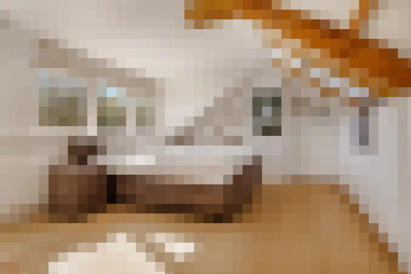Karel Doormanlaan 8 Huizen thumbnail 35