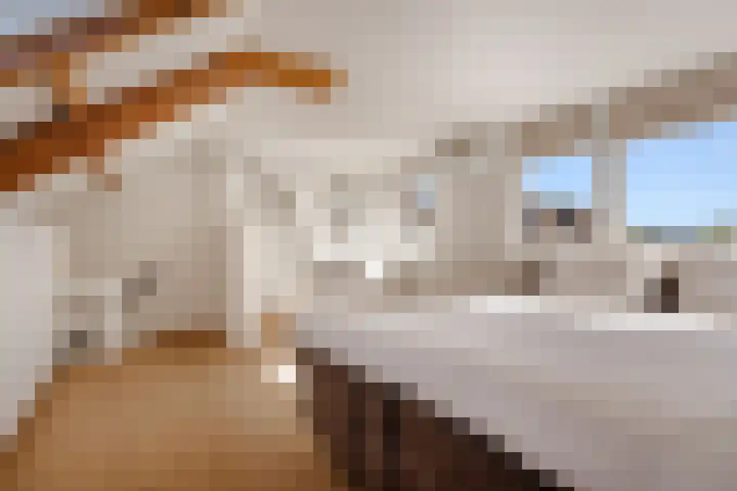 Karel Doormanlaan 8 Huizen thumbnail 36