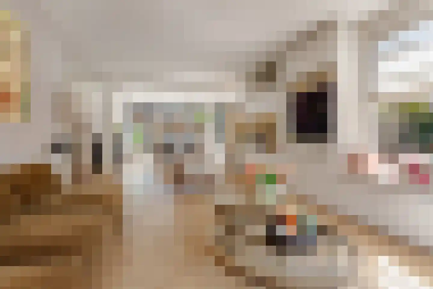 Karel Doormanlaan 8 Huizen thumbnail 5