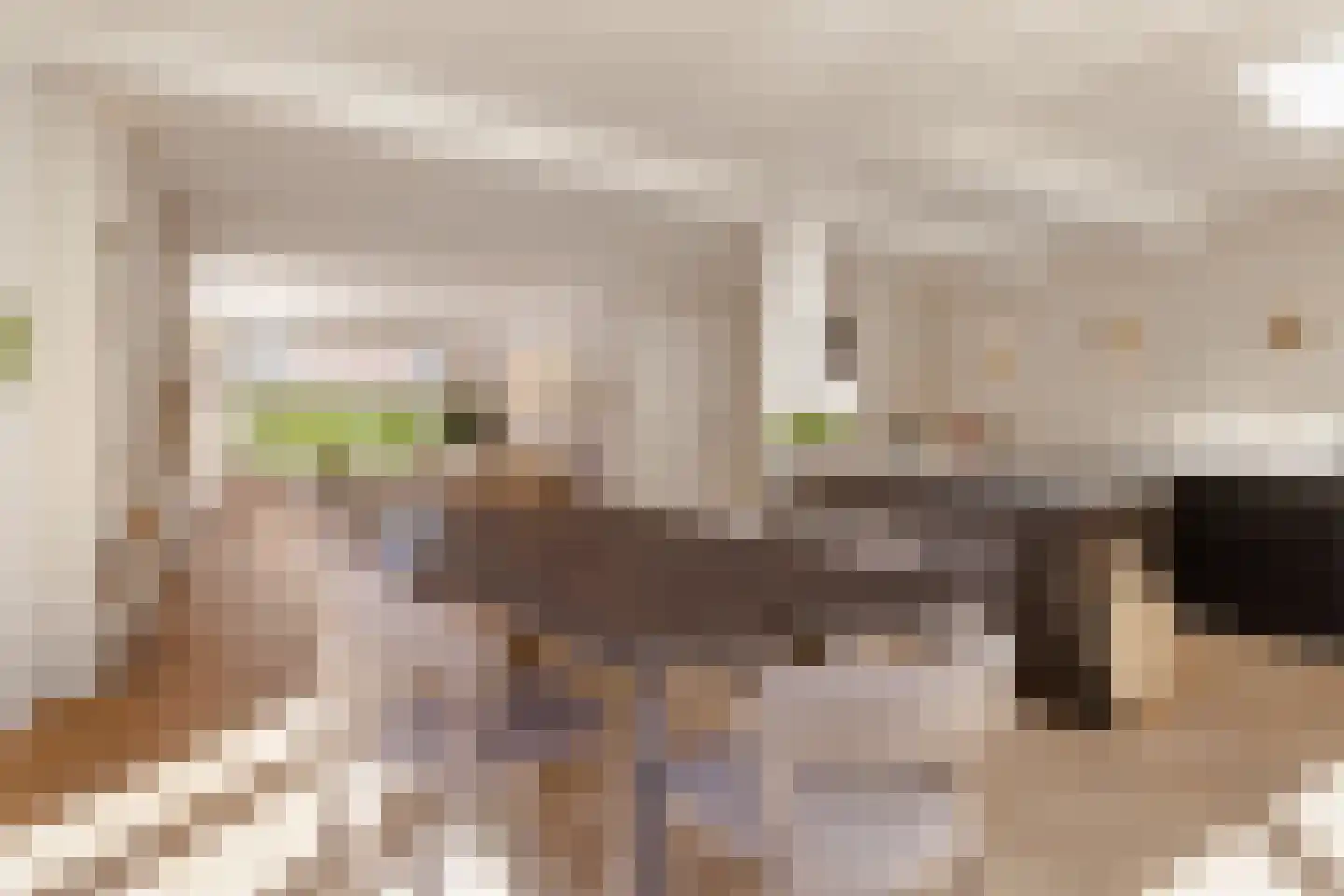 Karel Doormanlaan 8 Huizen thumbnail 8