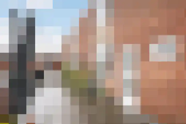 Karel Doormanlaan 89 Zwijndrecht thumbnail 4