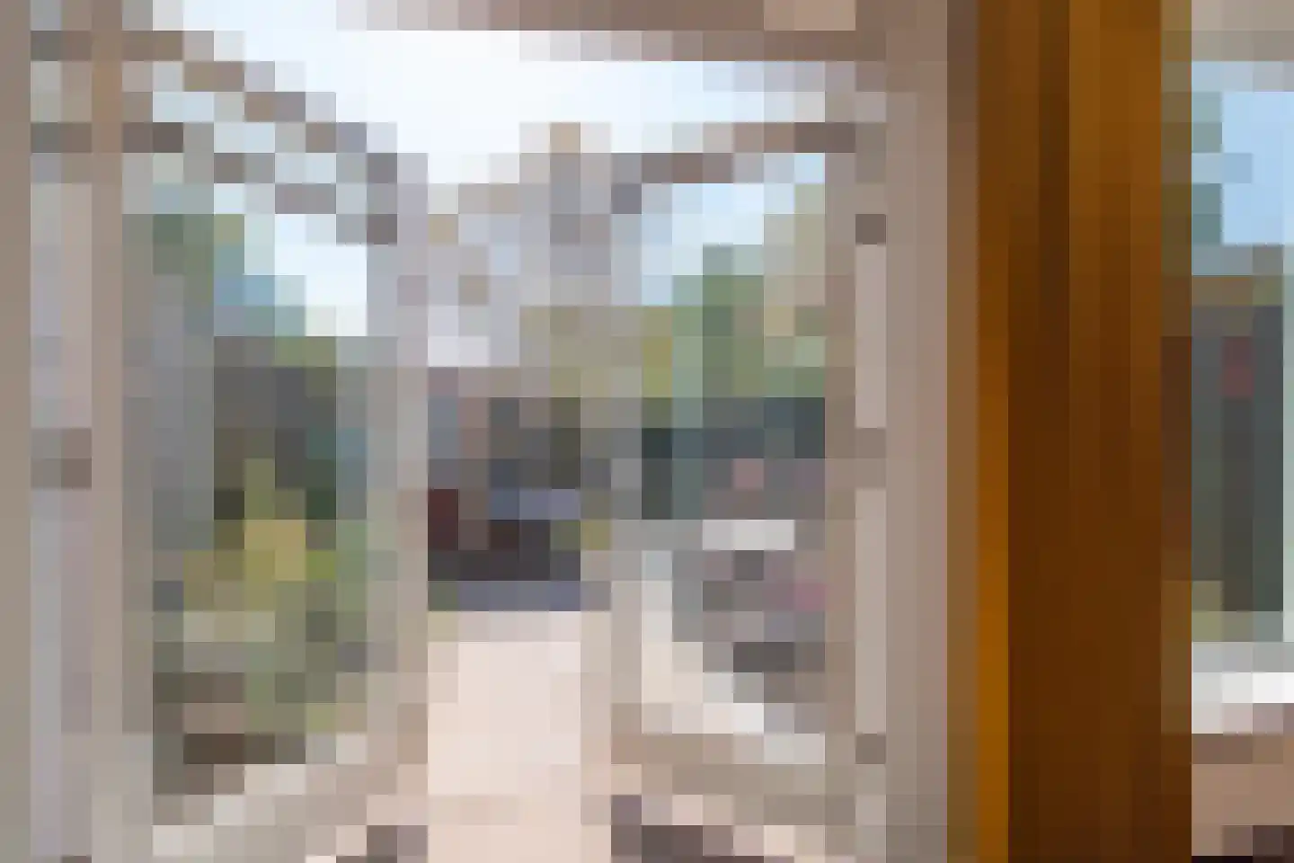 Karel Doormanlaan 93 Zoetermeer thumbnail 10