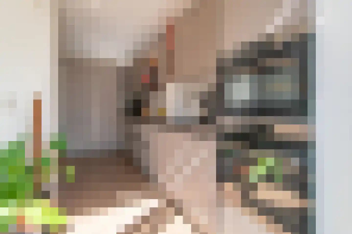 Karel Doormanlaan 93 Zoetermeer thumbnail 6
