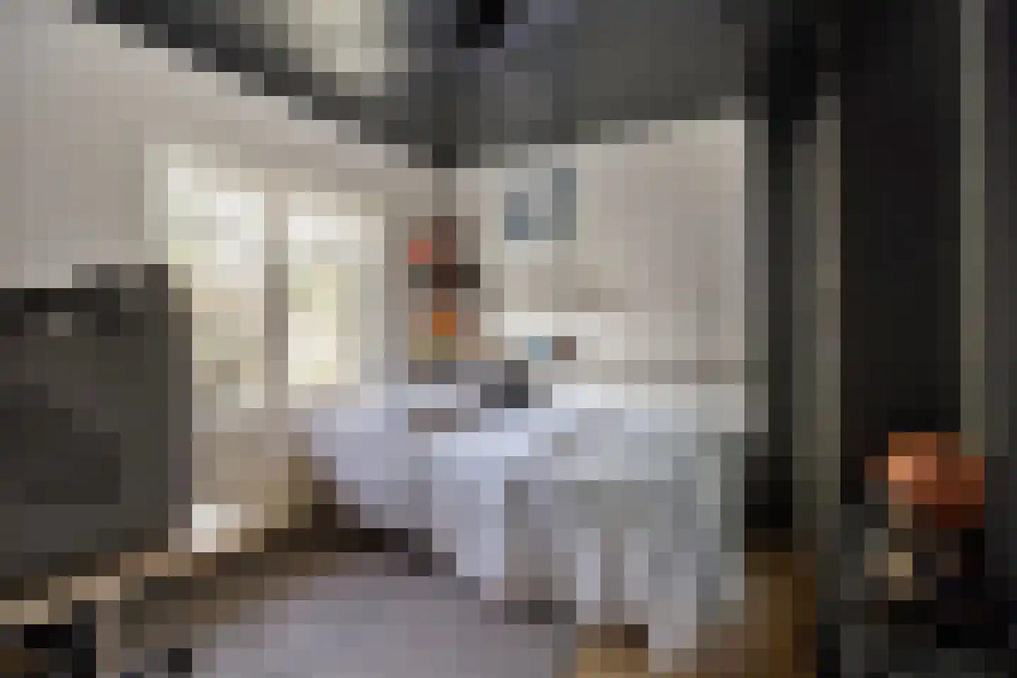 Karel Doormanstraat 101 Oss thumbnail 14