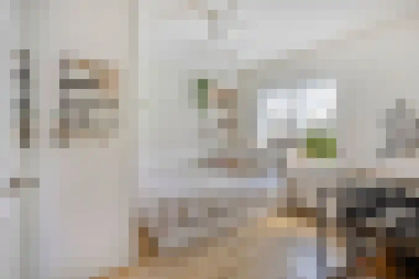 Karel Doormanstraat 101 Oss thumbnail 20