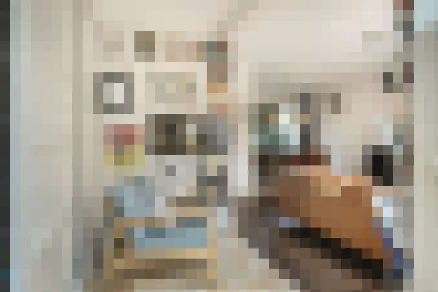 Karel Doormanstraat 101 Oss thumbnail 7