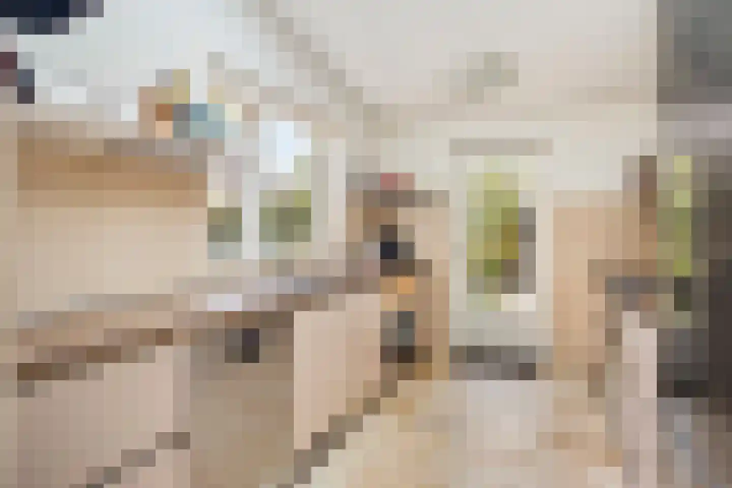 Karel Doormanstraat 101 Oss thumbnail 8