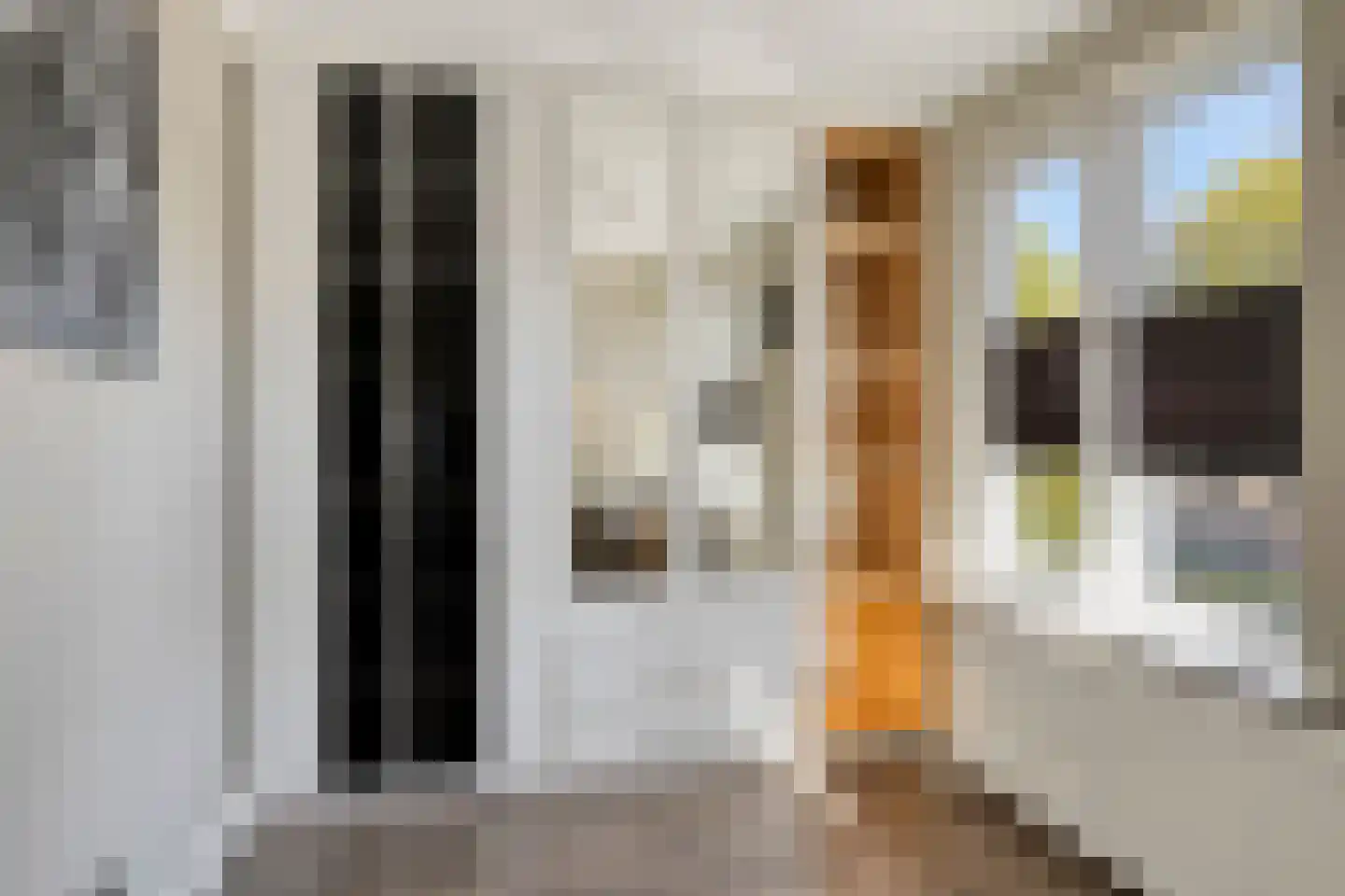 Karel Doormanstraat 14 Oldenzaal thumbnail 22