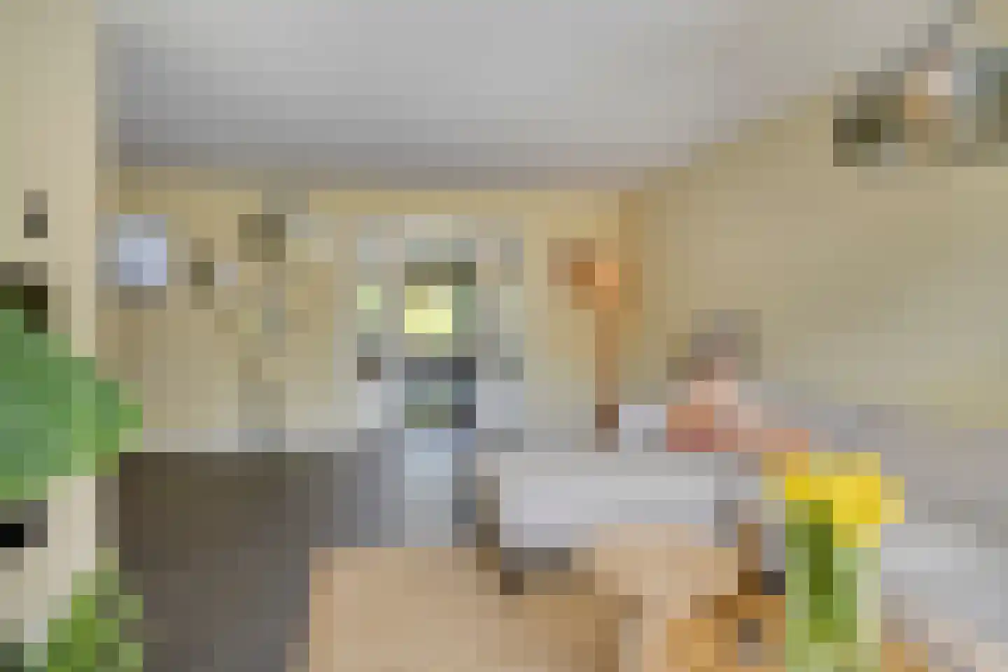 Karel Doormanstraat 14 Oldenzaal thumbnail 8