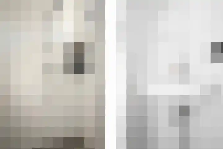 Karel Doormanstraat 2 Hasselt thumbnail 35