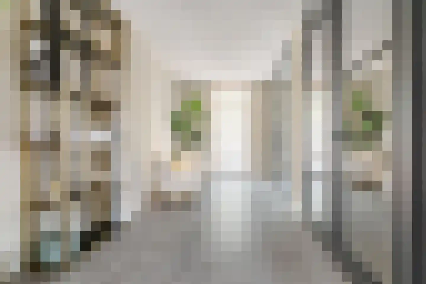 Karel Doormanstraat 23 Oud-Beijerland thumbnail 12