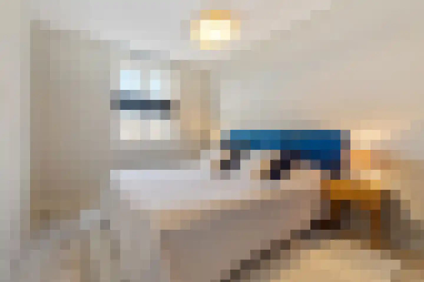 Karel Doormanstraat 23 Oud-Beijerland thumbnail 18