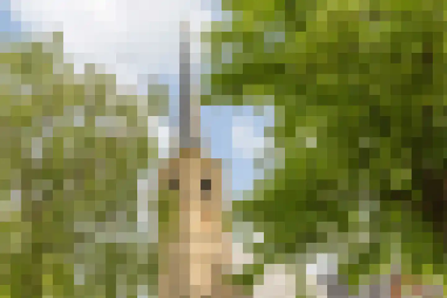 Karel Doormanstraat 23 Oud-Beijerland thumbnail 39
